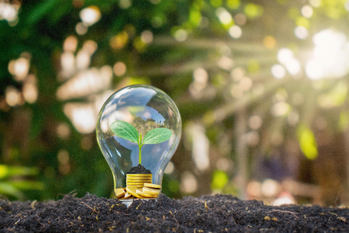 Sustainable home concept: Light bulb with growing plant inside, resting on coins and soil, symbolizing eco-friendly energy solutions and financial growth in a natural setting.