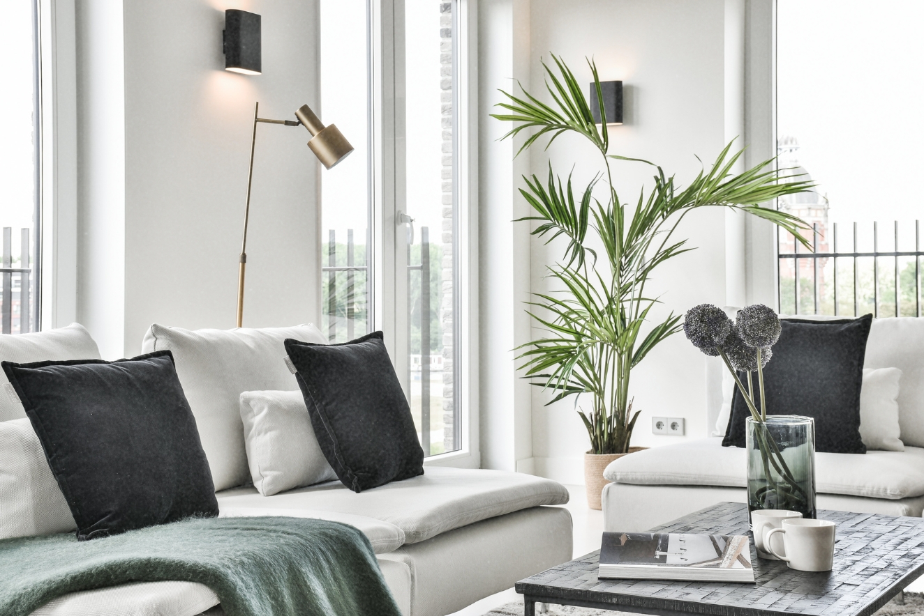  Home organization displayed in a tidy living room with neatly arranged furniture, strategically placed plants, and clutter-free surfaces showcasing a minimalist approach to decor.